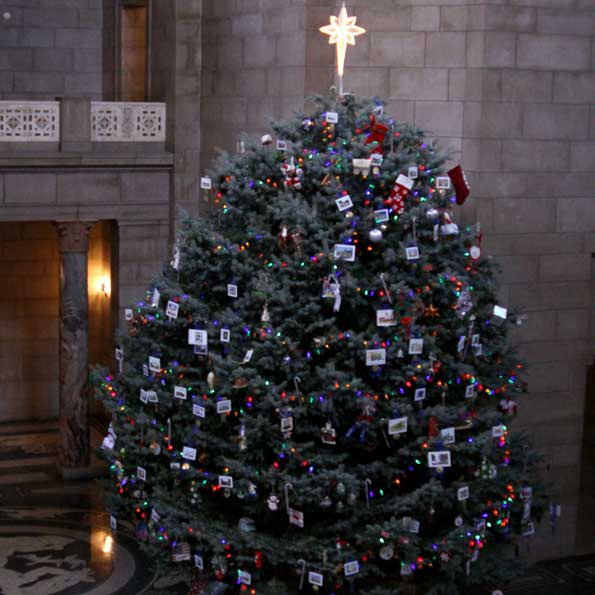 The tree will remain standing in the Rotunda throughout December.