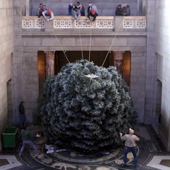 Staffers on the third floor balcony and Rotunda floor raise the tree to an upright position in its stand.