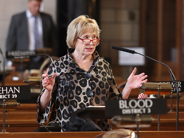 Sen. Lou Ann Linehan