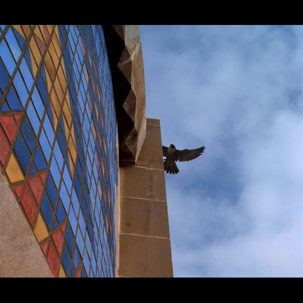 Courtesy of Karen Hughes.