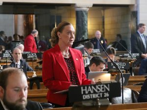 Sen. Joni Craighead