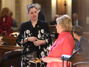 Sens. Wendy DeBoer and Lou Ann Linehan
