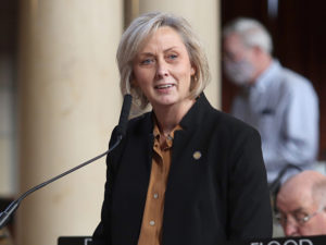 <a href='http://news.legislature.ne.gov/dist15' target='_blank' title='Link to the website of Sen. Lynne Walz'>Sen. Lynne Walz</a>