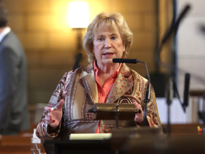 <a href='http://news.legislature.ne.gov/dist39' target='_blank' title='Link to the website of Sen. Lou Ann Linehan'>Sen. Lou Ann Linehan</a>